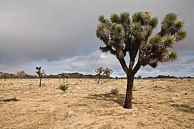 《不朽者传奇》销售情况有所改善 最终故事还没有写好